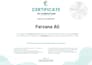 develop your business strategy, competitor backlink audit, and SEO growth